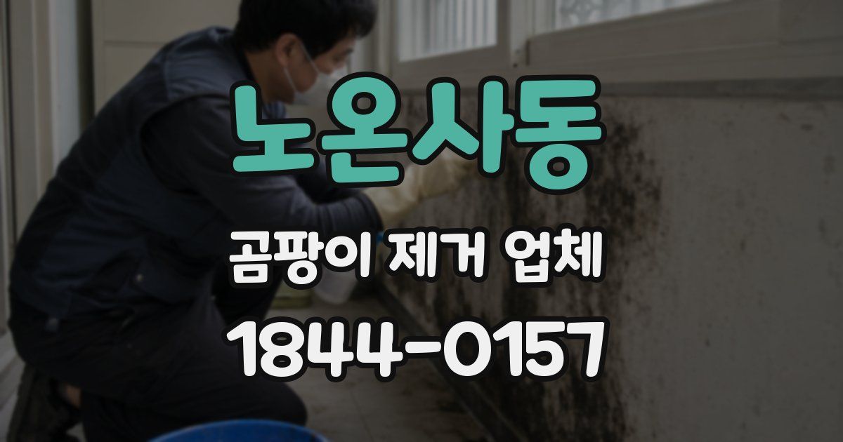 노온사동 곰팡이 제거 업체