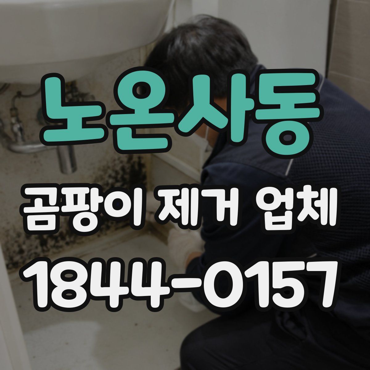 노온사동 곰팡이 제거 업체
