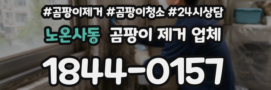 노온사동 곰팡이 제거 업체