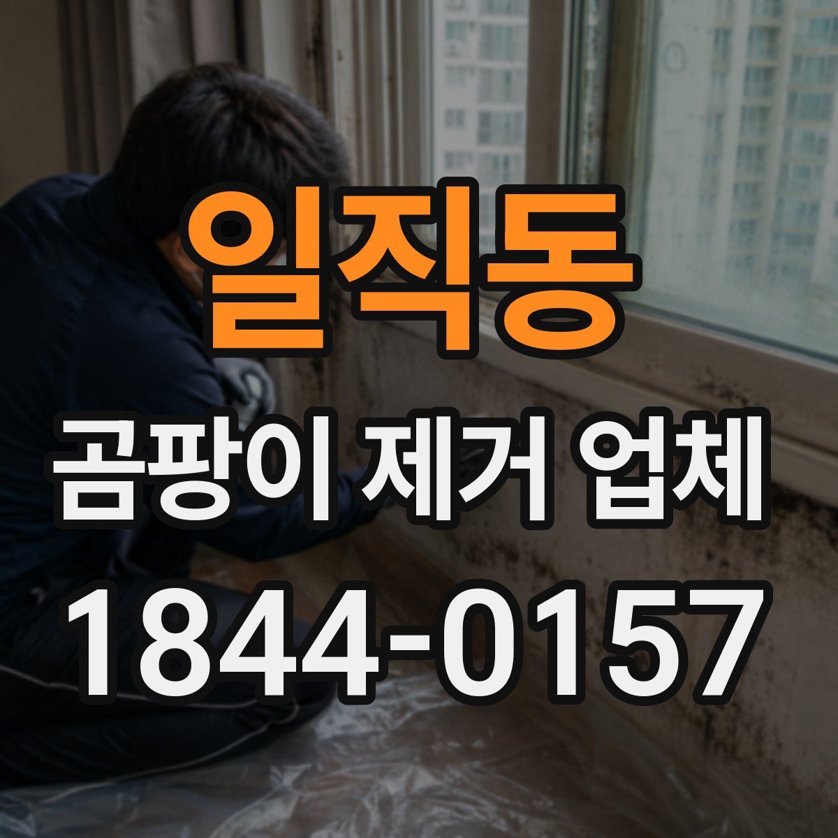 일직동 곰팡이 제거 업체