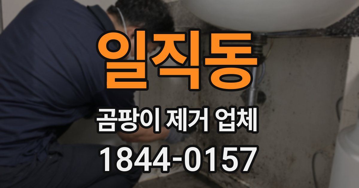 일직동 곰팡이 제거 업체