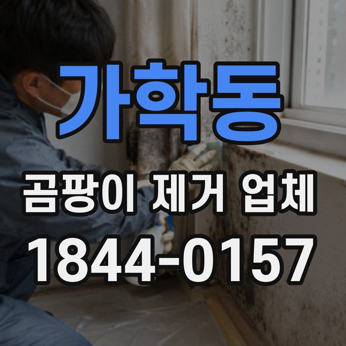 가학동 곰팡이 제거 업체 셀프로 처리하기 어려운 틈새 오염의 특징