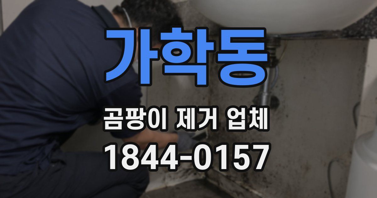 가학동 곰팡이 제거 업체