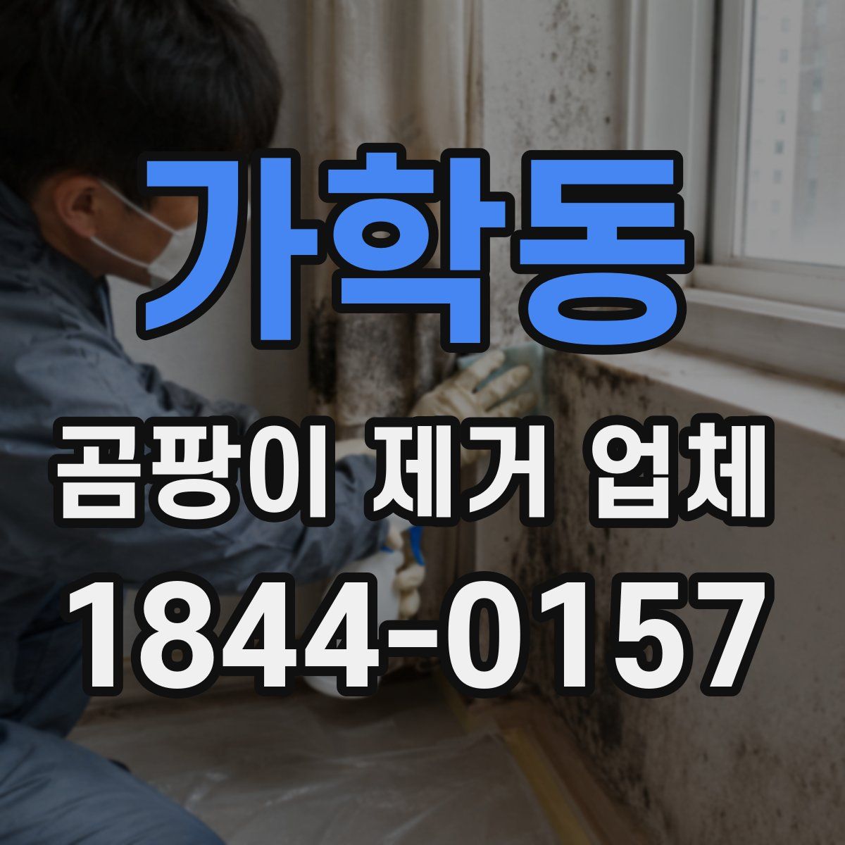 가학동 곰팡이 제거 업체