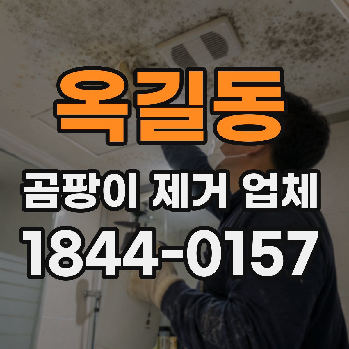옥길동 곰팡이 제거 업체