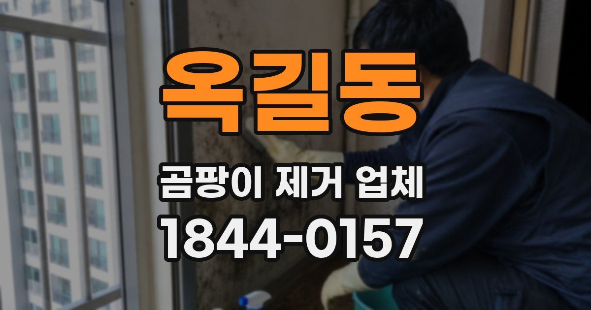 옥길동 곰팡이 제거 업체