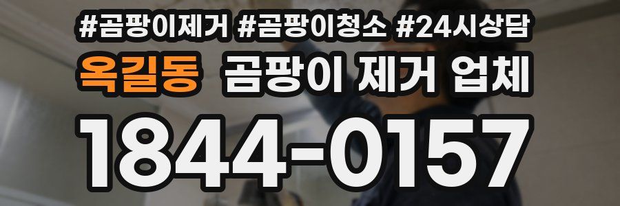 옥길동 곰팡이 제거 업체