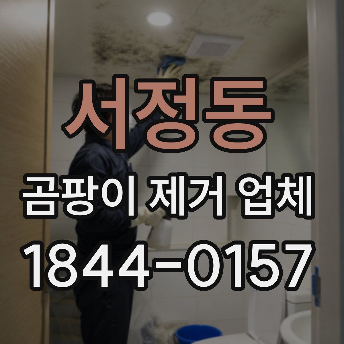 서정동 곰팡이 제거 업체