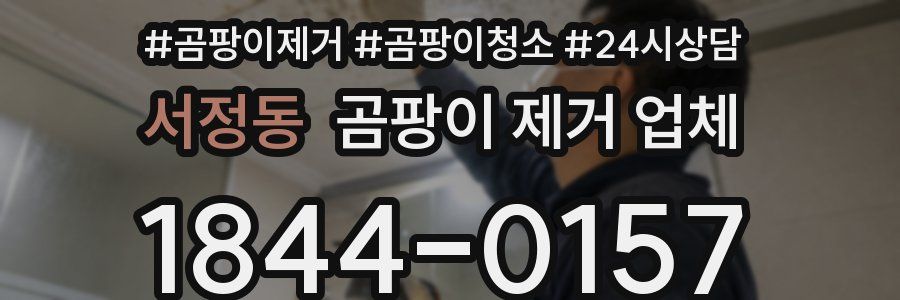 서정동 곰팡이 제거 업체