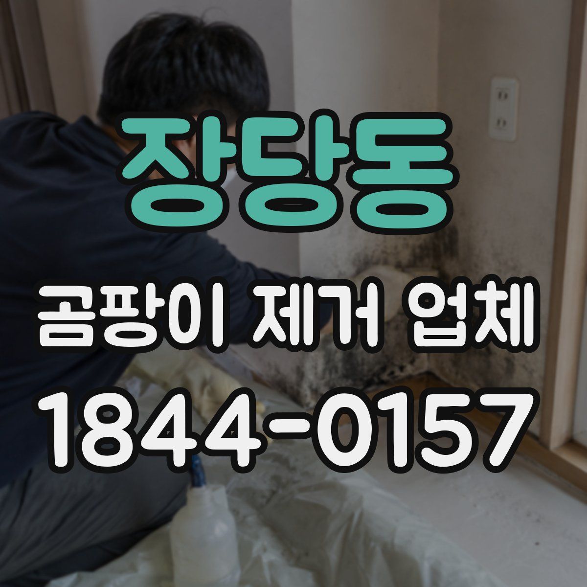 장당동 곰팡이 제거 업체
