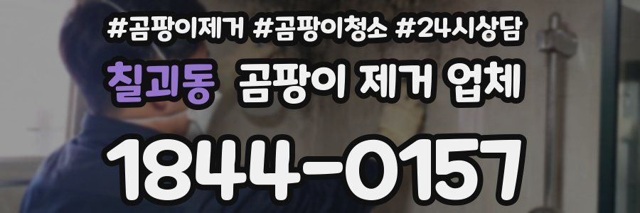 칠괴동 곰팡이 제거 업체