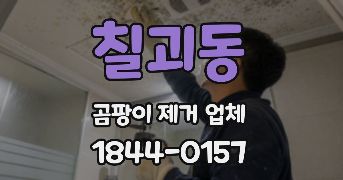 칠괴동 곰팡이 제거 업체
