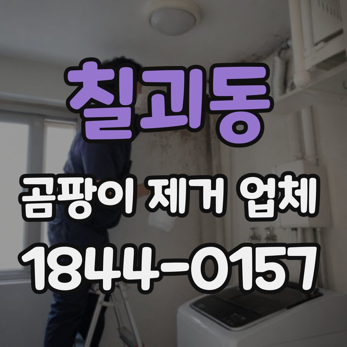 칠괴동 곰팡이 제거 업체
