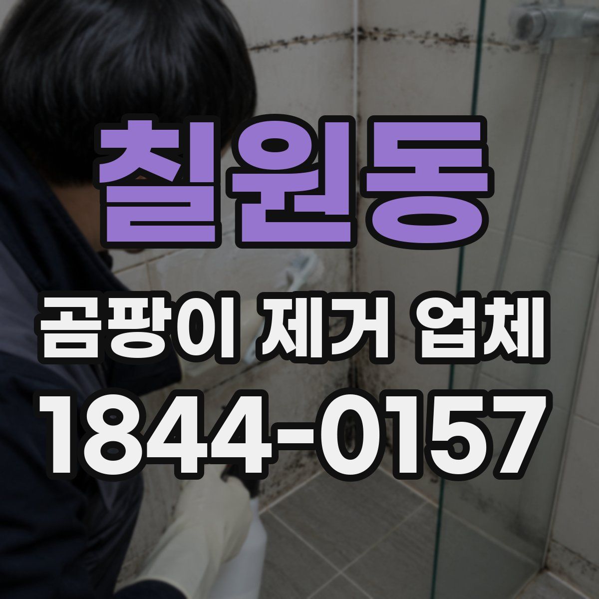 칠원동 곰팡이 제거 업체