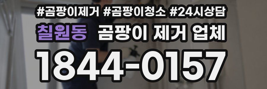 칠원동 곰팡이 제거 업체