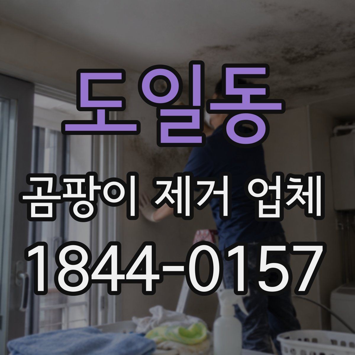 도일동 곰팡이 제거 업체 습기 많은 공간에서 먼저 보는 점검 순서