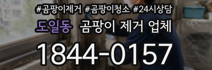 도일동 곰팡이 제거 업체