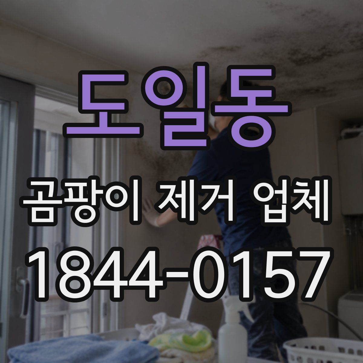 도일동 곰팡이 제거 업체