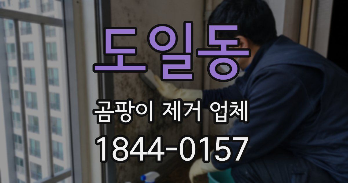 도일동 곰팡이 제거 업체