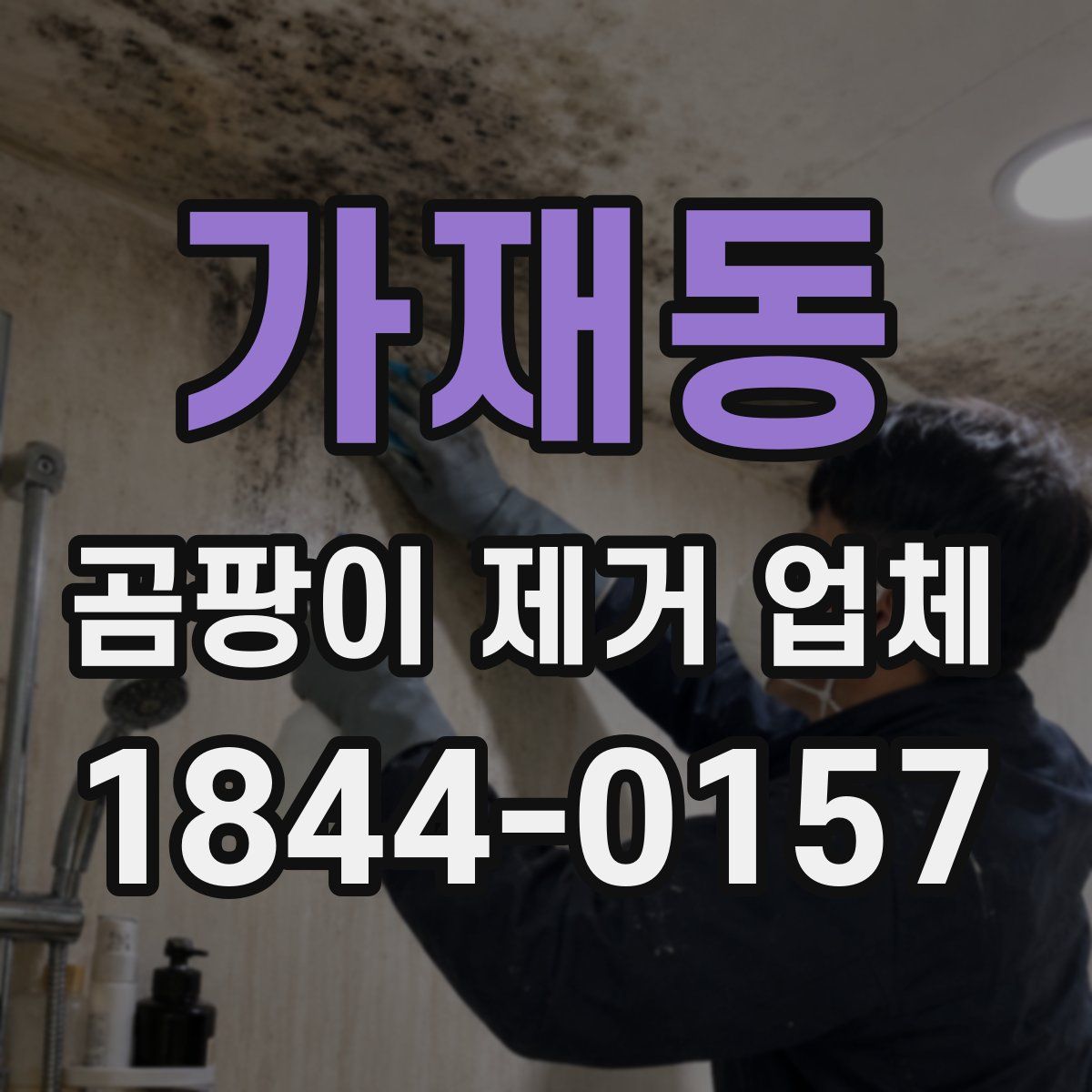 가재동 곰팡이 제거 업체