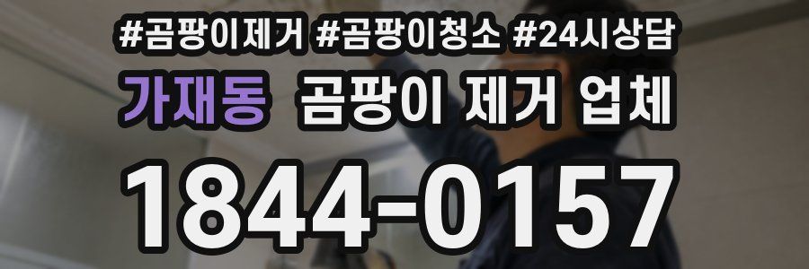 가재동 곰팡이 제거 업체