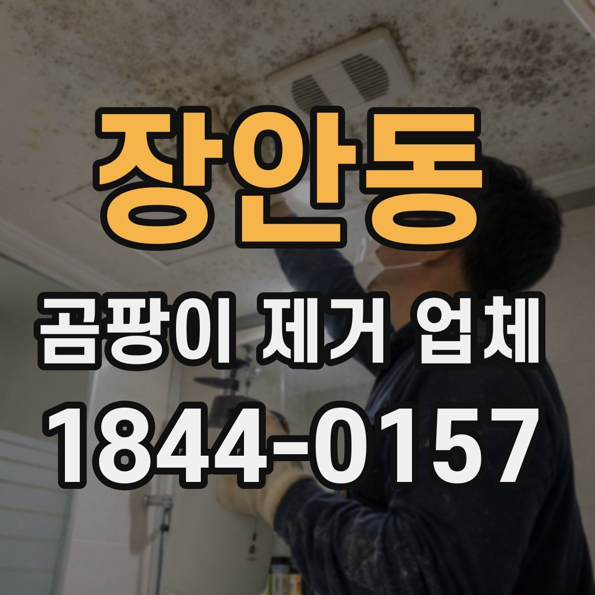 장안동 곰팡이 제거 업체