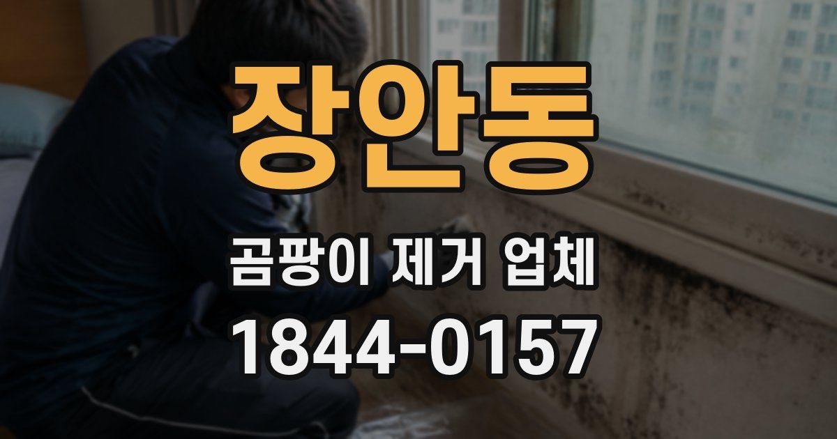 장안동 곰팡이 제거 업체