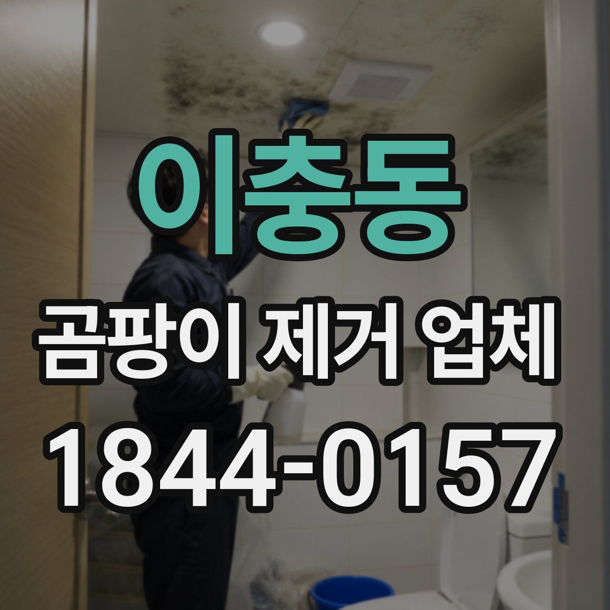 이충동 곰팡이 제거 업체