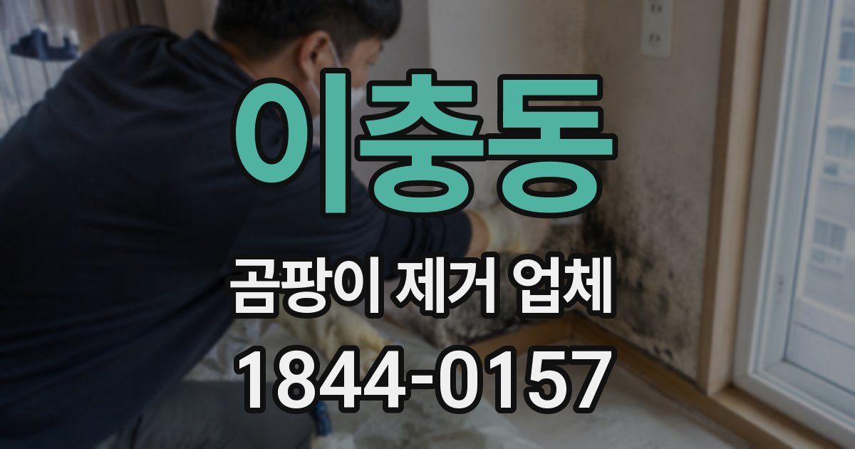 이충동 곰팡이 제거 업체