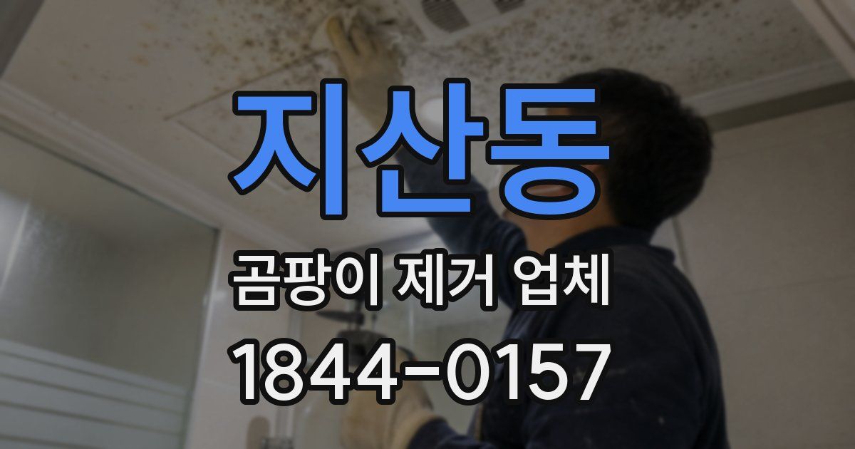 지산동 곰팡이 제거 업체