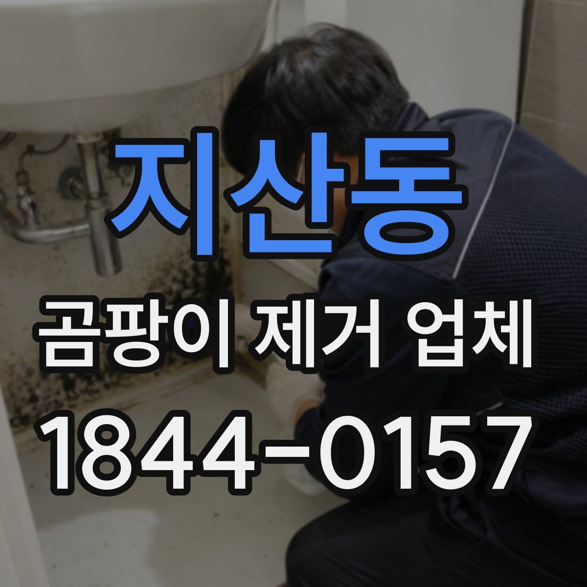 지산동 곰팡이 제거 업체