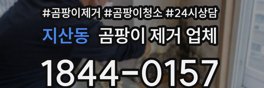 지산동 곰팡이 제거 업체