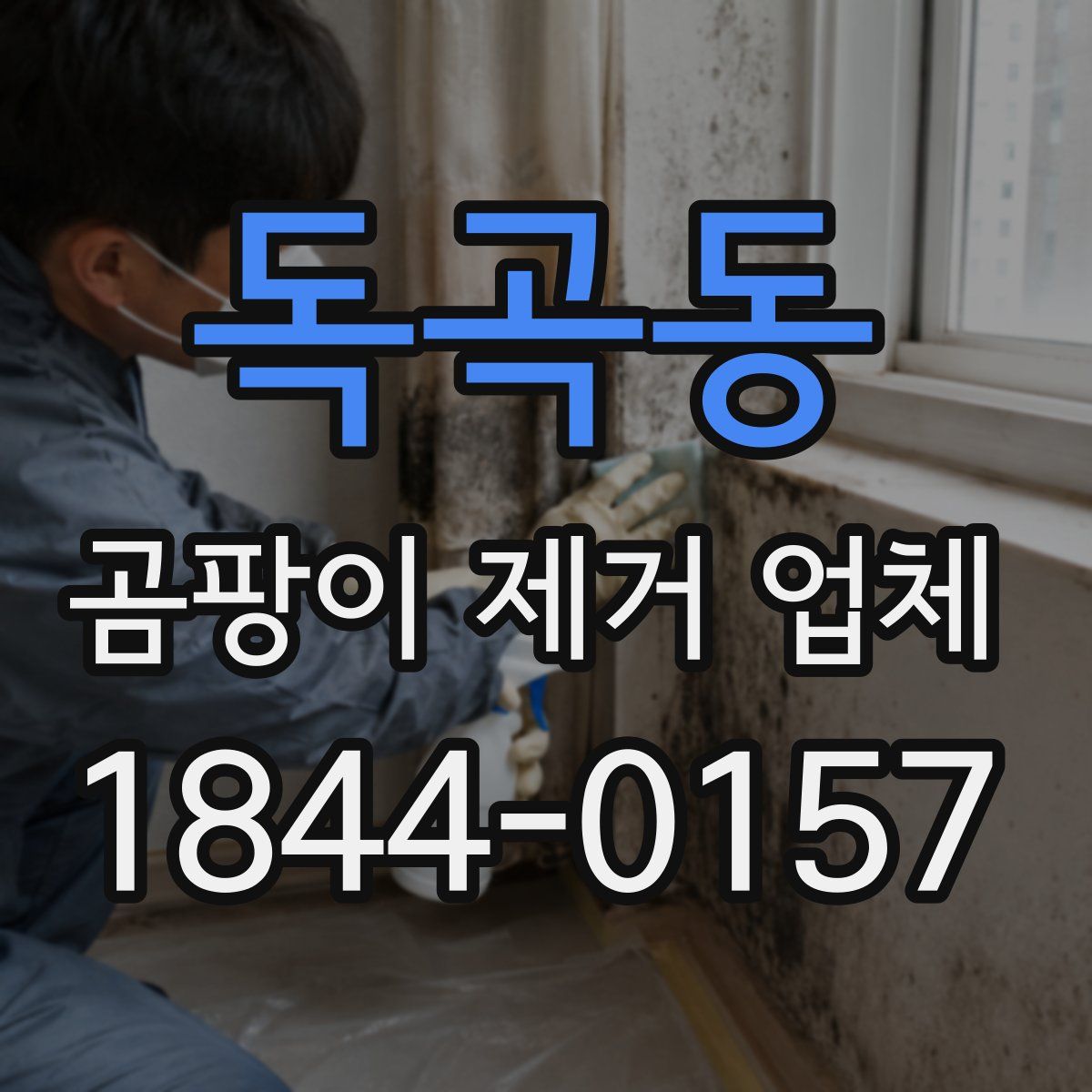 독곡동 곰팡이 제거 업체