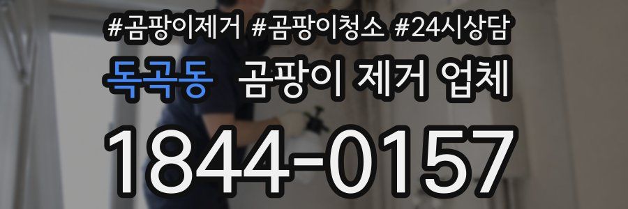 독곡동 곰팡이 제거 업체