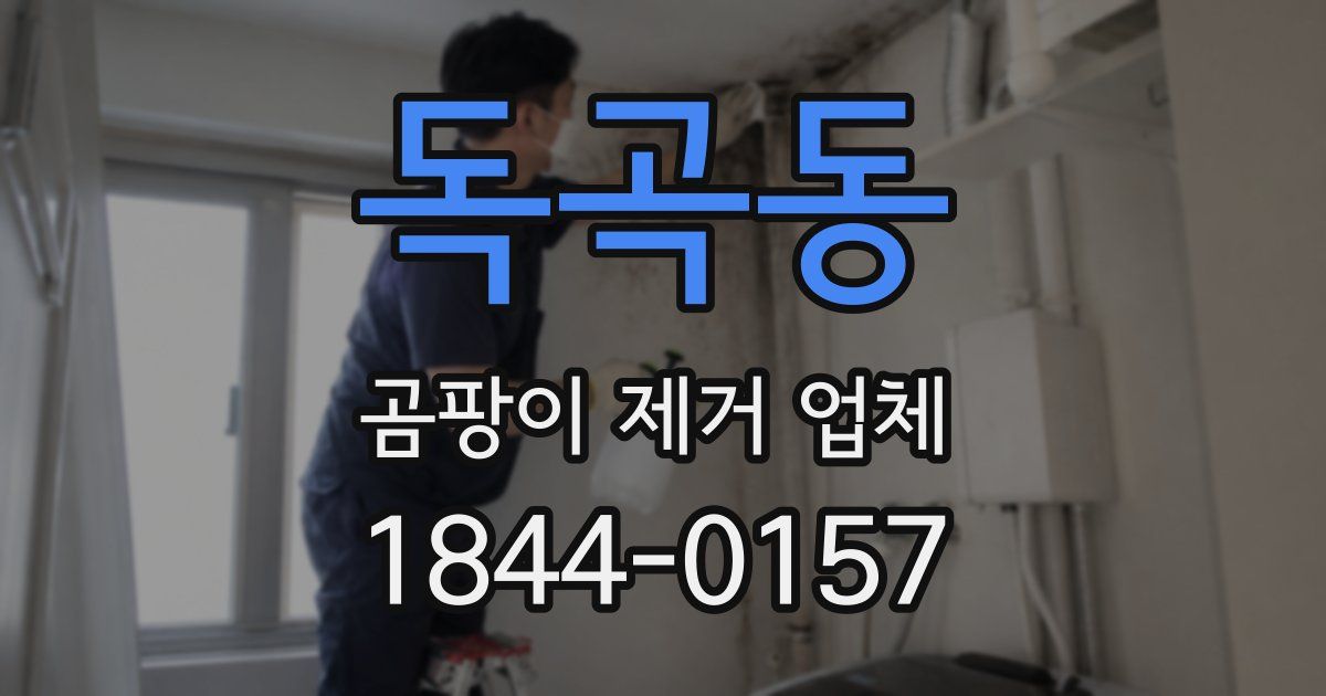 독곡동 곰팡이 제거 업체