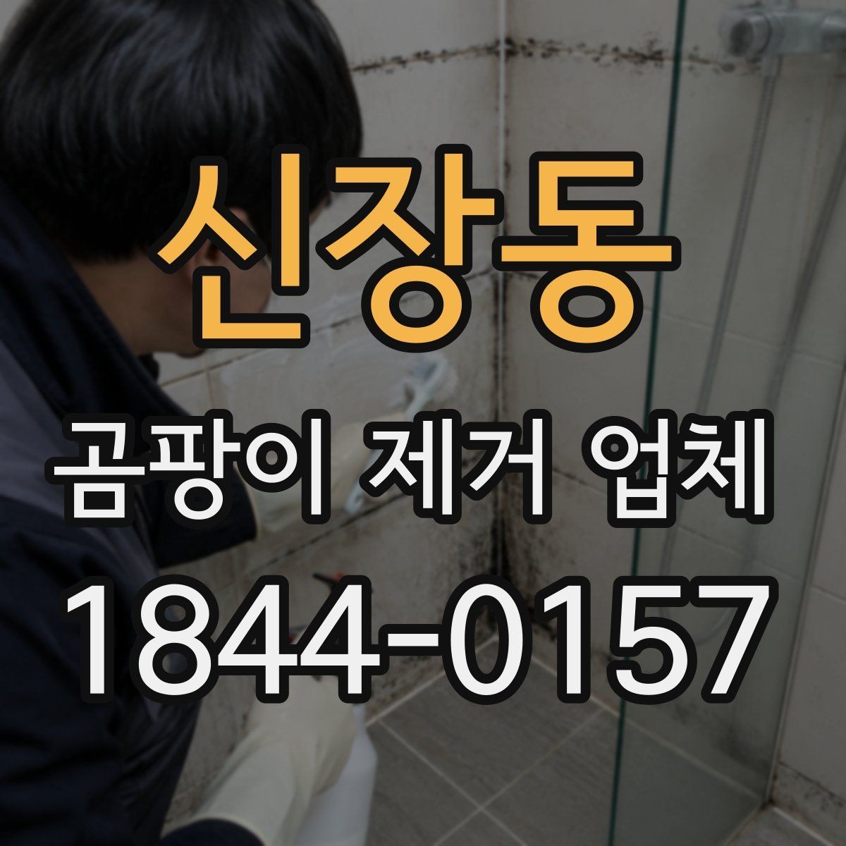 신장동 곰팡이 제거 업체 재발 방지를 위해 확인해야 할 환경 요소