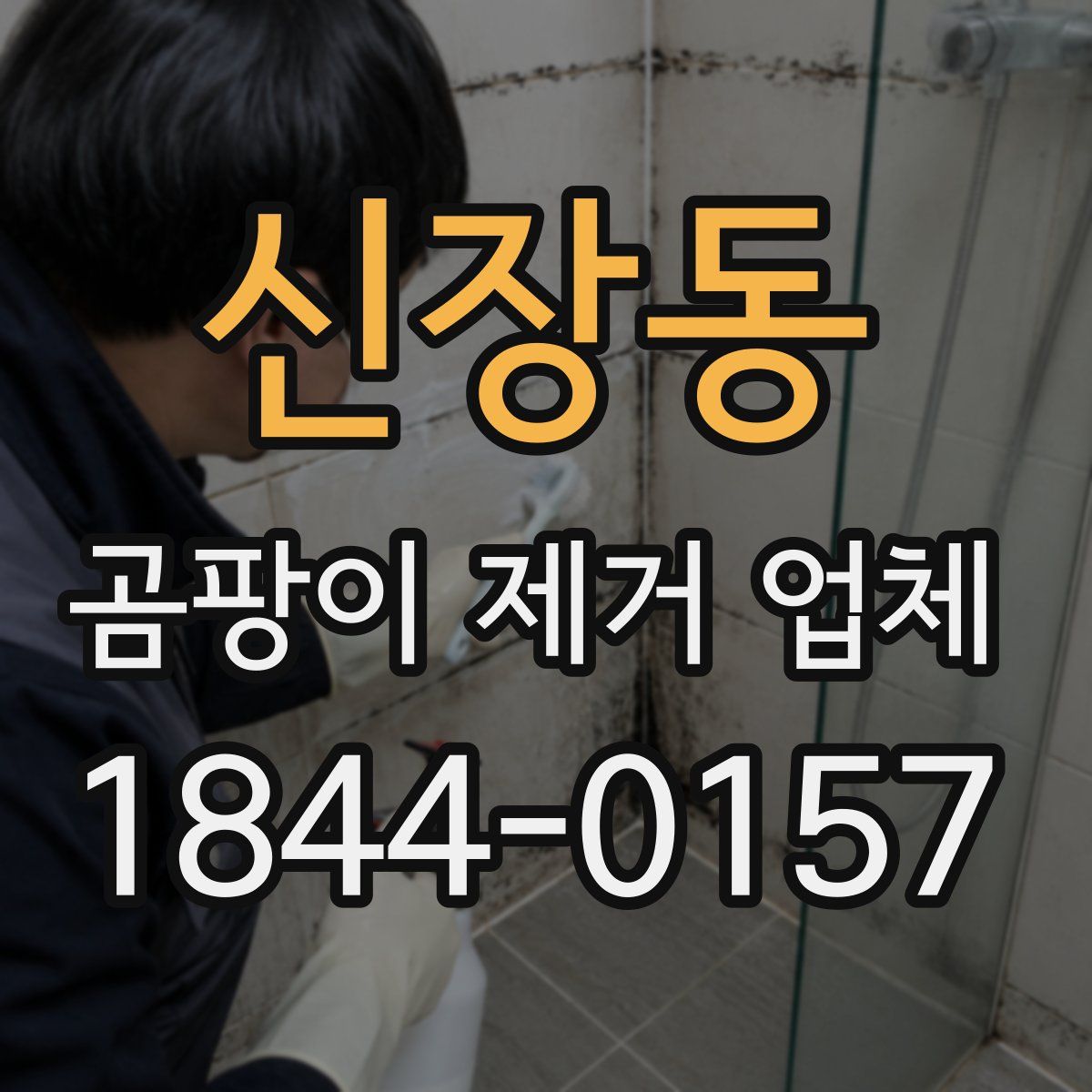 신장동 곰팡이 제거 업체