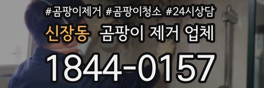 신장동 곰팡이 제거 업체