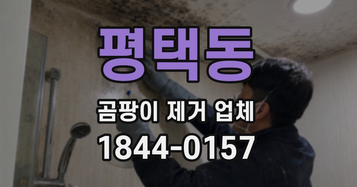 평택동 곰팡이 제거 업체