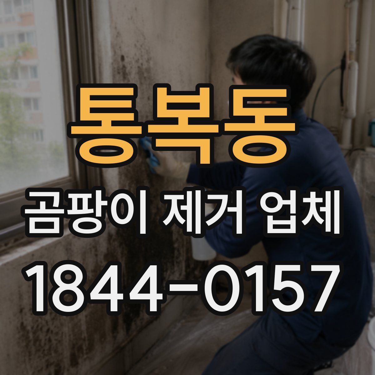 통복동 곰팡이 제거 업체