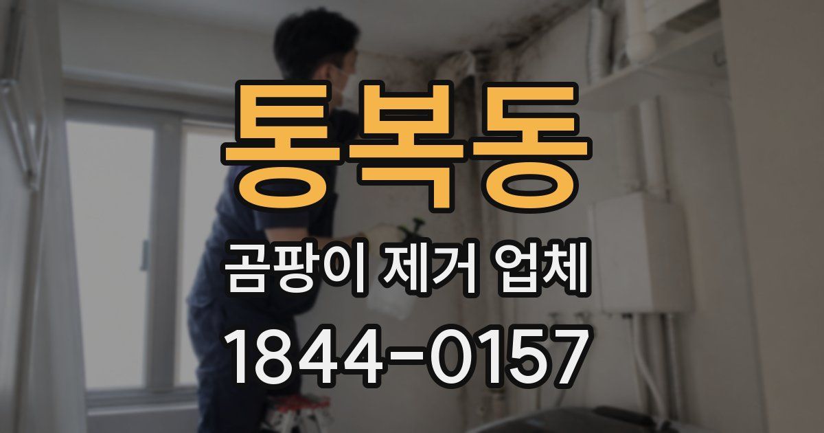 통복동 곰팡이 제거 업체