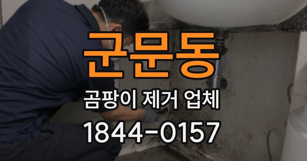 군문동 곰팡이 제거 업체