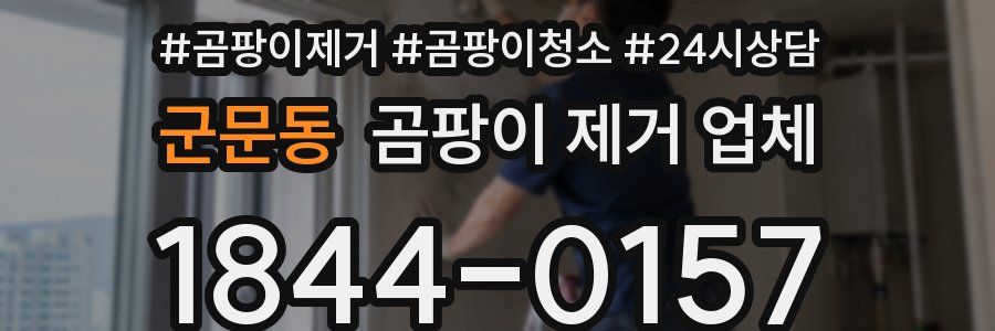 군문동 곰팡이 제거 업체