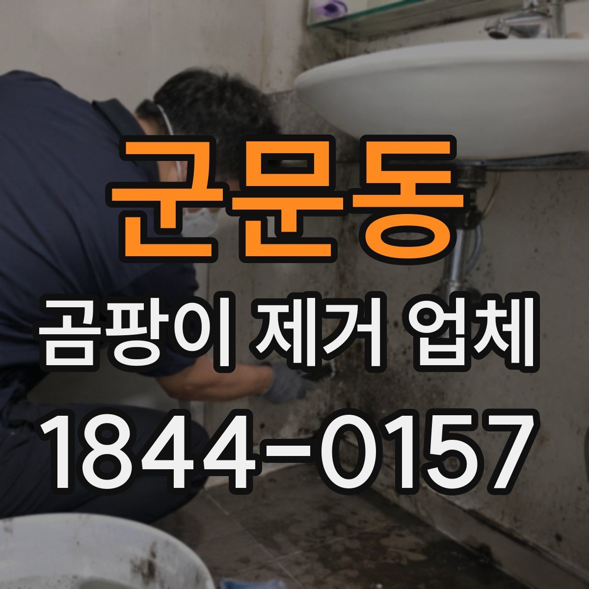군문동 곰팡이 제거 업체