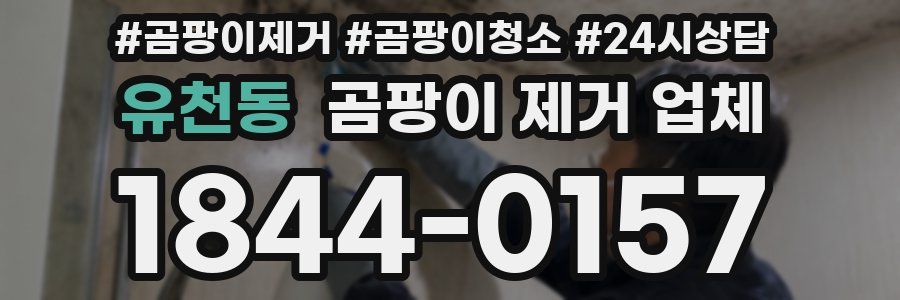 유천동 곰팡이 제거 업체