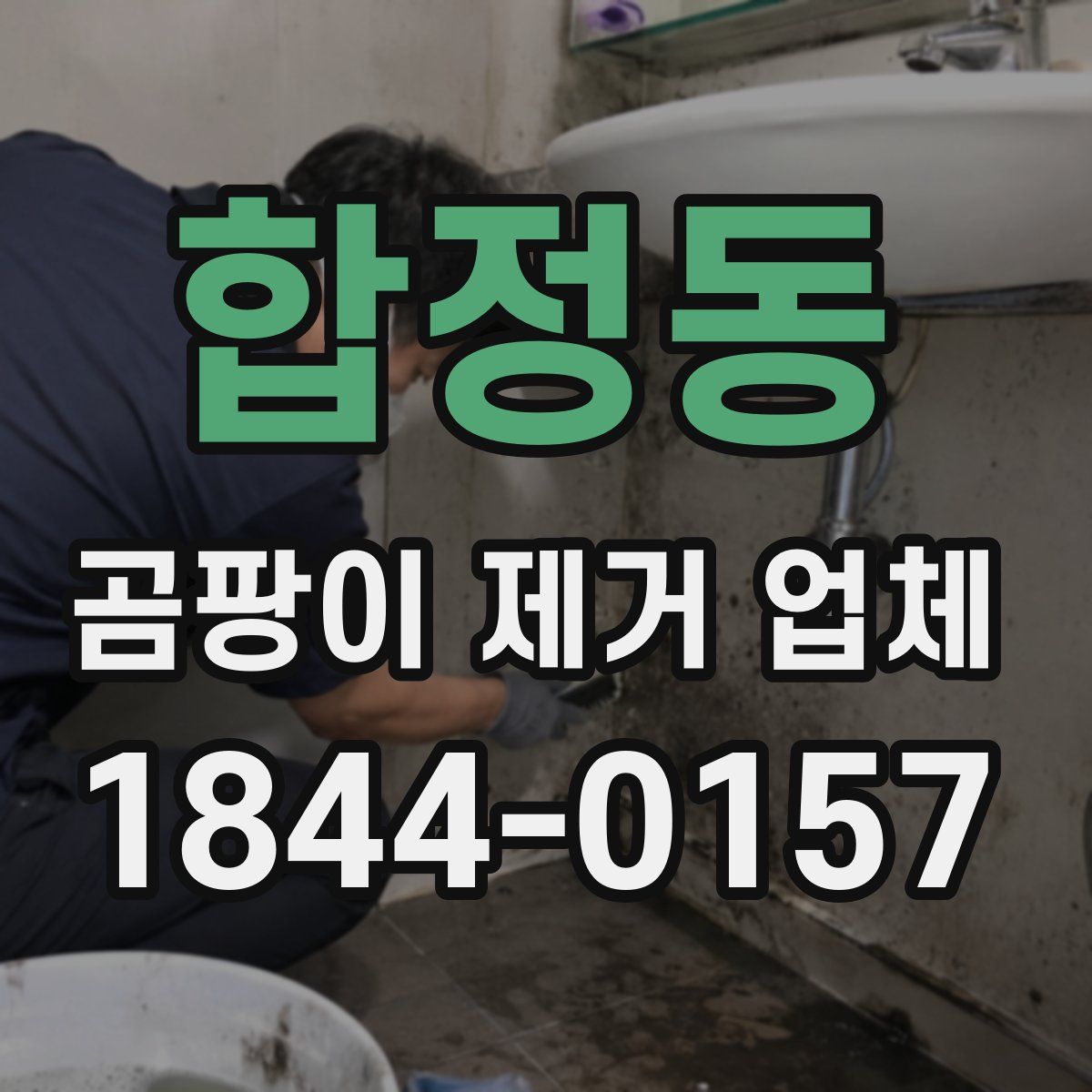 합정동 곰팡이 제거 업체