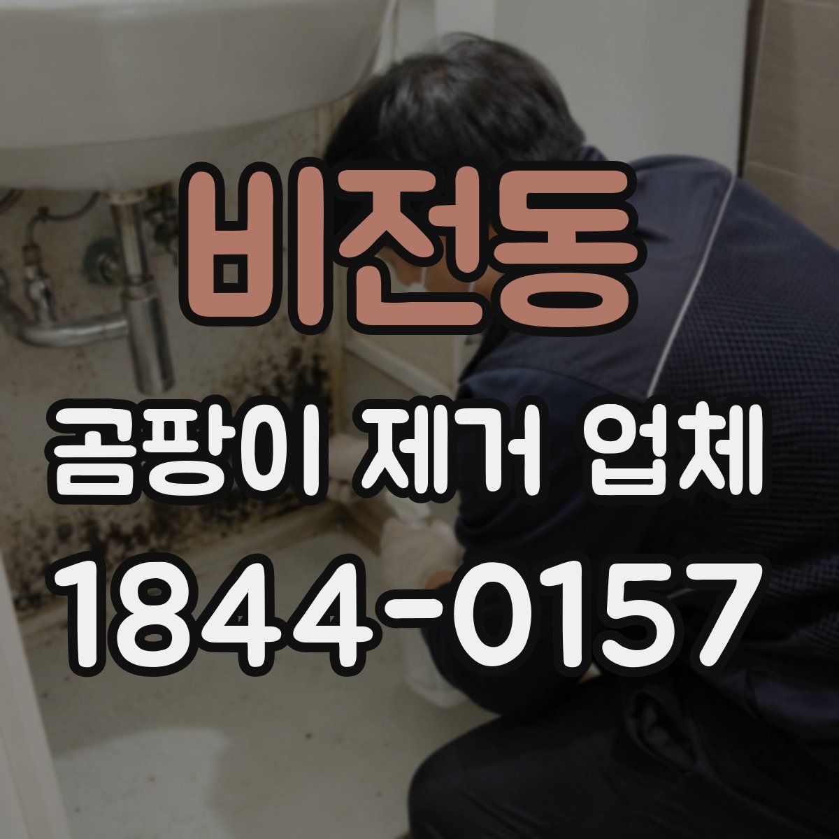 비전동 곰팡이 제거 업체