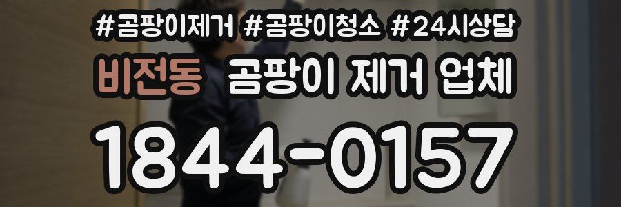 비전동 곰팡이 제거 업체