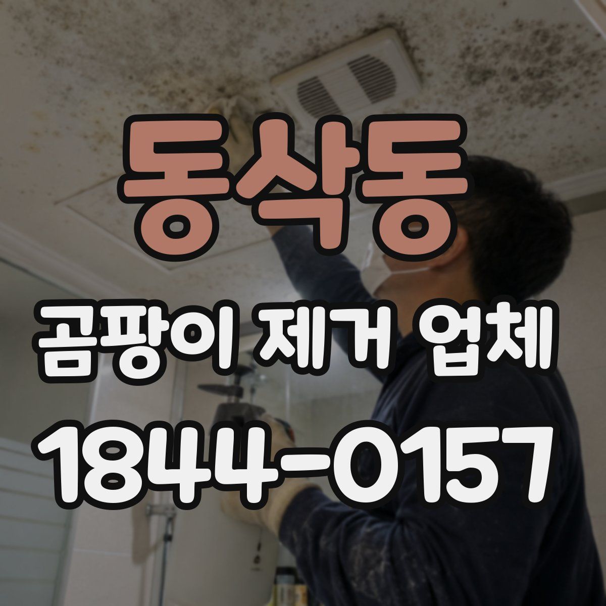 동삭동 곰팡이 제거 업체