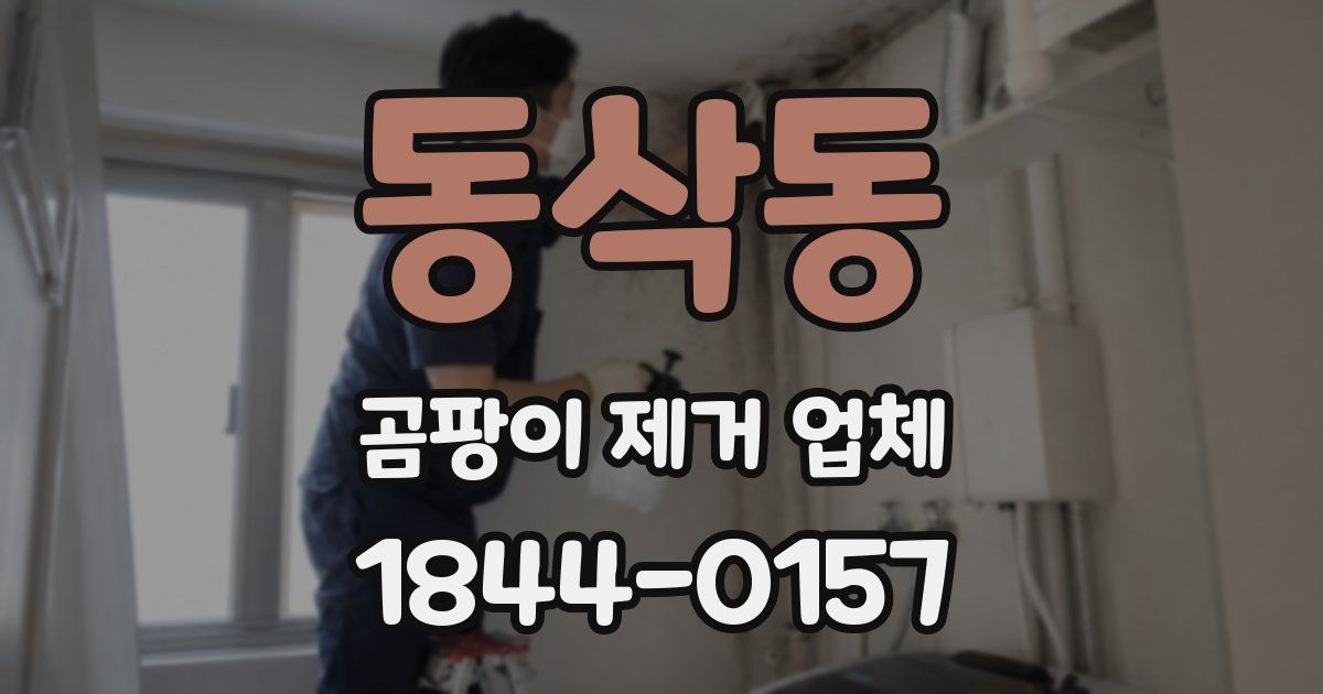 동삭동 곰팡이 제거 업체